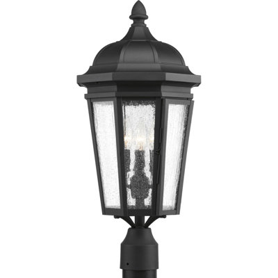 Florence-Graham Seeded Lantern Head