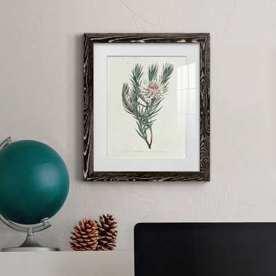 Protea N33 - Peinture encadrée