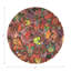 Sous-verres ronds Mariposa-119015158