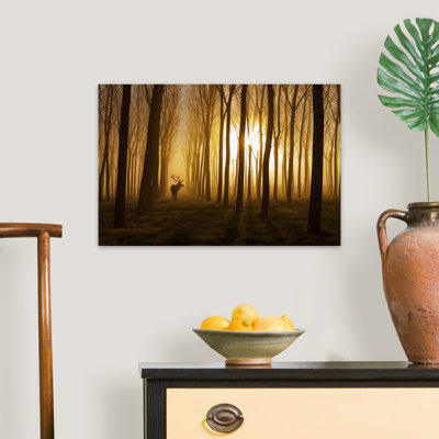 Once Upon a Time by Nafets Norim Photographic Print on Canvas