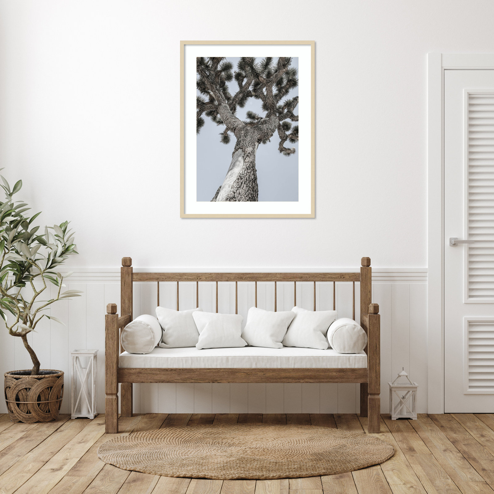 Daisey "Joshua" Print by Shot by Clint, Brown, 41" H x 31" W