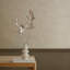 Boutique Luzon Shell Wallpaper-126305362