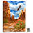 Red Rock Eagle 18x24 Fully Illuminated ColorChange LED Print