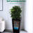 Black 22" Tall Planter Pots Of 2 For Indoor And Outdoor Use, With Drainage Holes, Water Level Monitor Automatic Watering Function A Magical Garden & 2, Featuring Inner Bucket Steady