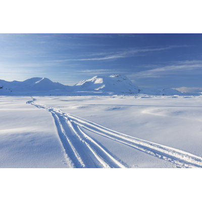 " Snowmobile Traces " by Mliberra
