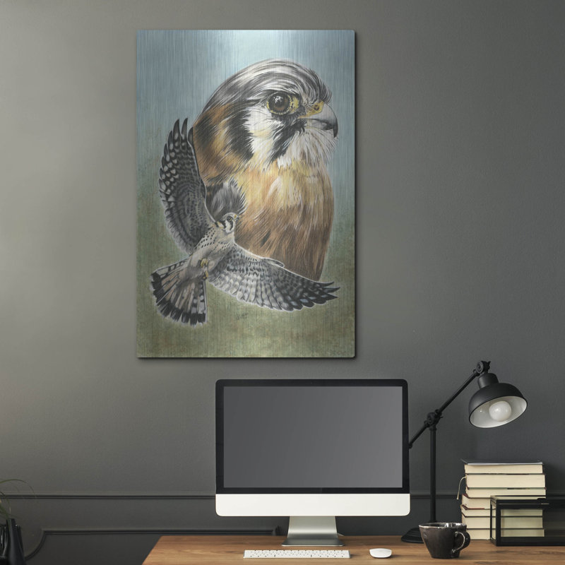 «American Kestrel» par Barbara Keith, H 36 po x l 24 po