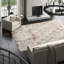 Ikat Area Rug in Rust/Gray/Beige-67120653
