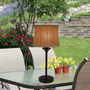 https://assets.wfcdn.com/im/28927864/resize-h310-w310%5Ecompr-r85/1484/148489263/evrard-2525-outdoor-basket-weave-table-lamp.jpg