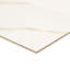 Ardena 24 in. x 24 in. Polished Porcelain Stone Look Floor and Wall Tile-98034455