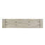 BANC Bettina