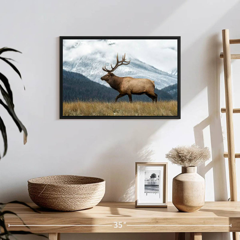 Brampt Mountain Bull Elk, 13" H x 19" W