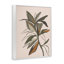 «Earthtone Boho Plant Grey», estampe numérique par Nataly White-107872959-111705799