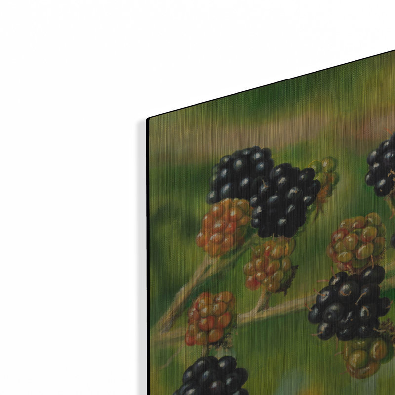 «Blackberries» par Bill Makinson, H 12 po x l 16 po