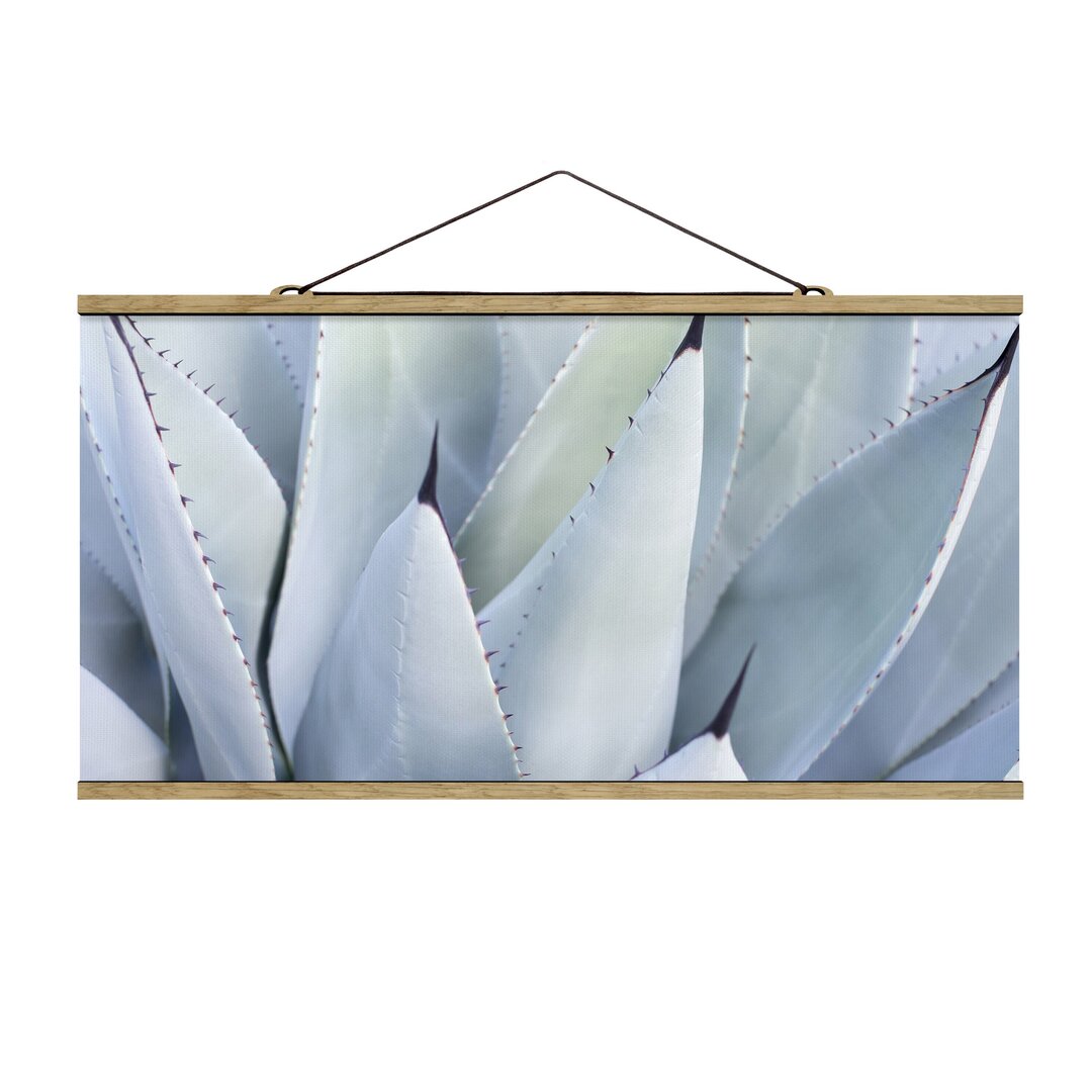 Agave Leaves Stoff Bild