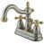 Satin Nickel/Polished Brass