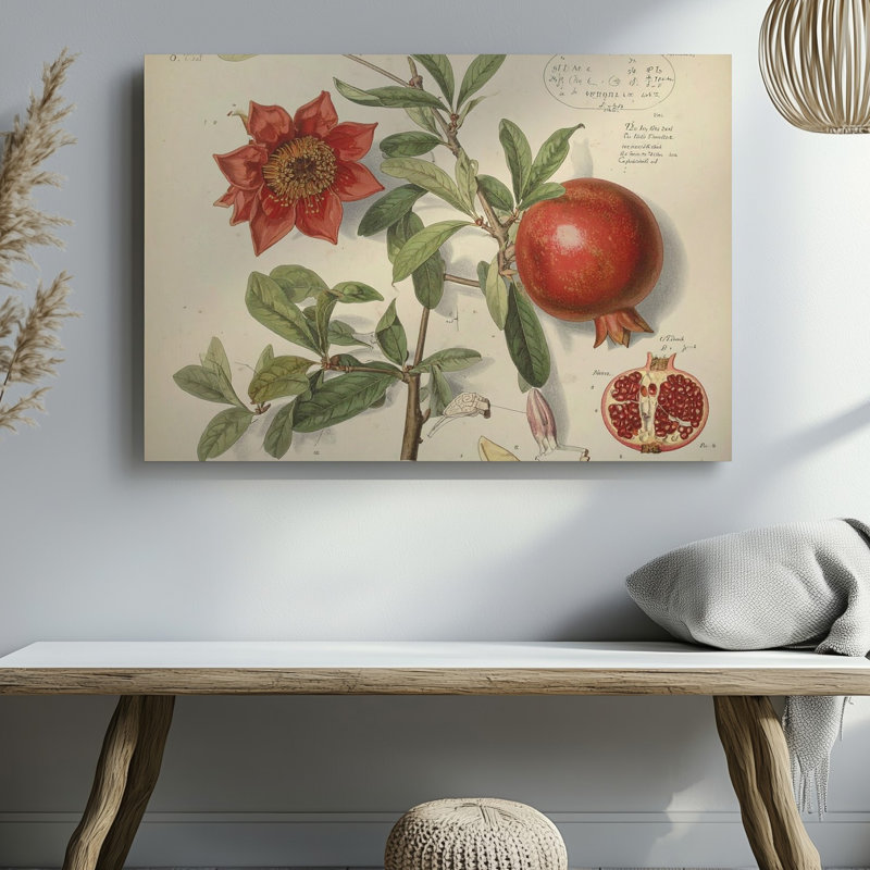 Reproduction d'art sur toile, grenade, botanique, H 9 po x l 12 po