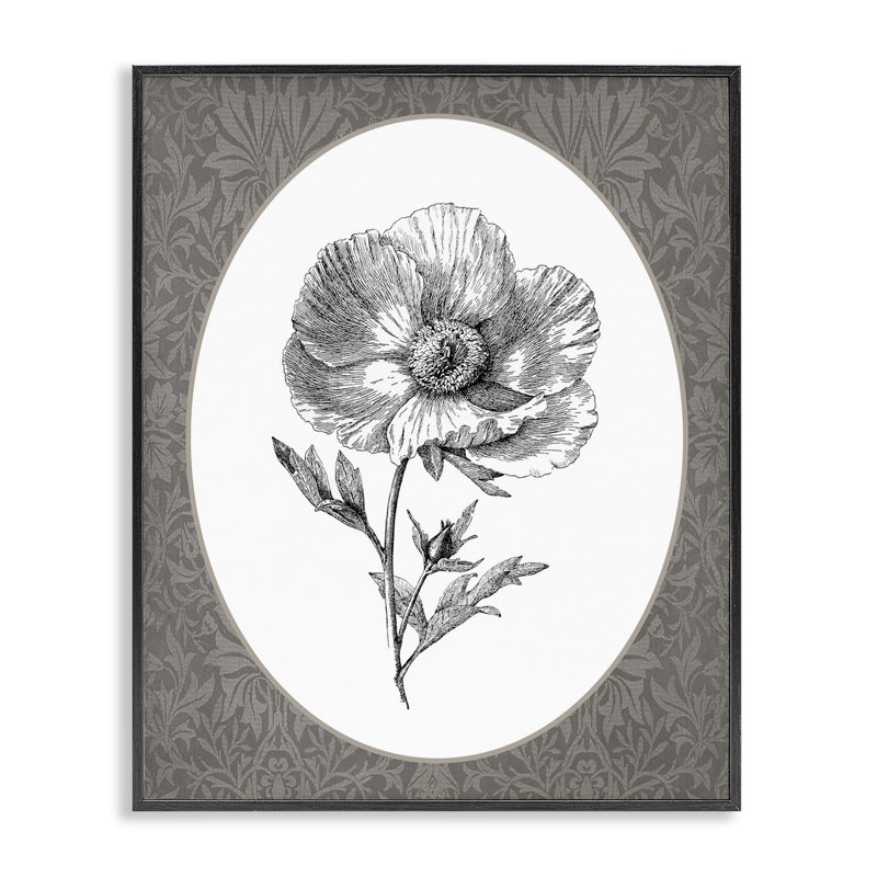 Anemone Sprig Vignette, estampe numérique encadrée, Giclée encadrée noir minuit, H 14 po x l 11 po