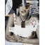 Henna by Elige - Wrapped Canvas
