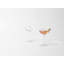 Fluted Handmade Crystal Coupe-1177815133