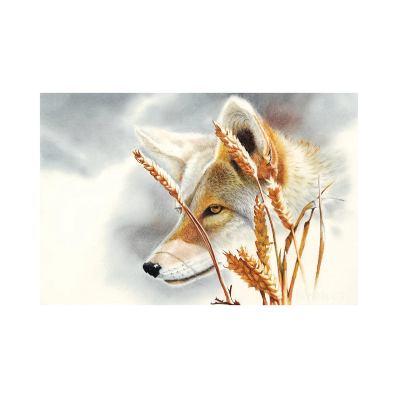 Song Dog by Peter Williams - Gallery-Wrapped Canvas Giclée on Canvas, No Frame, 20.32 cm H x 30.48 cm W