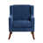 Blue Polyester