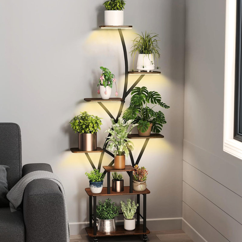 Support pour plante d'intérieur à 8 niveaux avec culture, grande tablette en métal pour plusieurs plantes dans les zones, noyer discret + design moderne noir