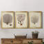 Esper Sea Fans I - ensemble de 3 peintures sur toile encadrées-265464115-265464119