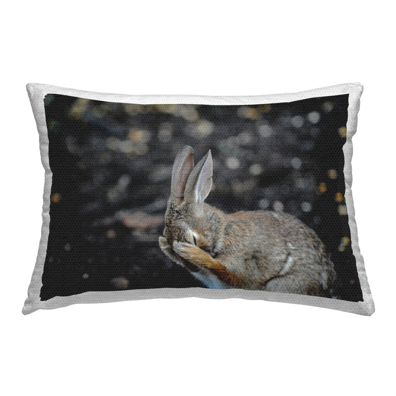 Outdoor Throw Pillow