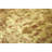 Hand Knotted Wool Indoor Rug