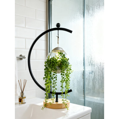Hanging Plant Stand For Glass Terrariums, Metal Air Plant Holder With Iron Pothook For Indoor Outdoor Garden Decor And Flower Pot Display