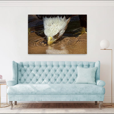 Contemporary Art Contemporary Bird Eagle Nature Wildlife Art