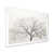 White Picture Frame
