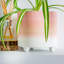 Ceramic Pot Planter-63880904-63880909