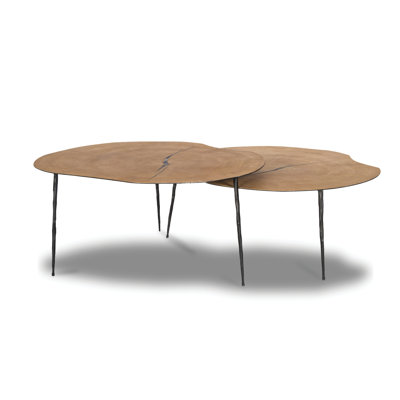 Oakley 4 Legs Coffee Table with Storage by Mobital