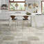 Travertine 16" x 24" Field Tile in Ancient Tumbled Silver