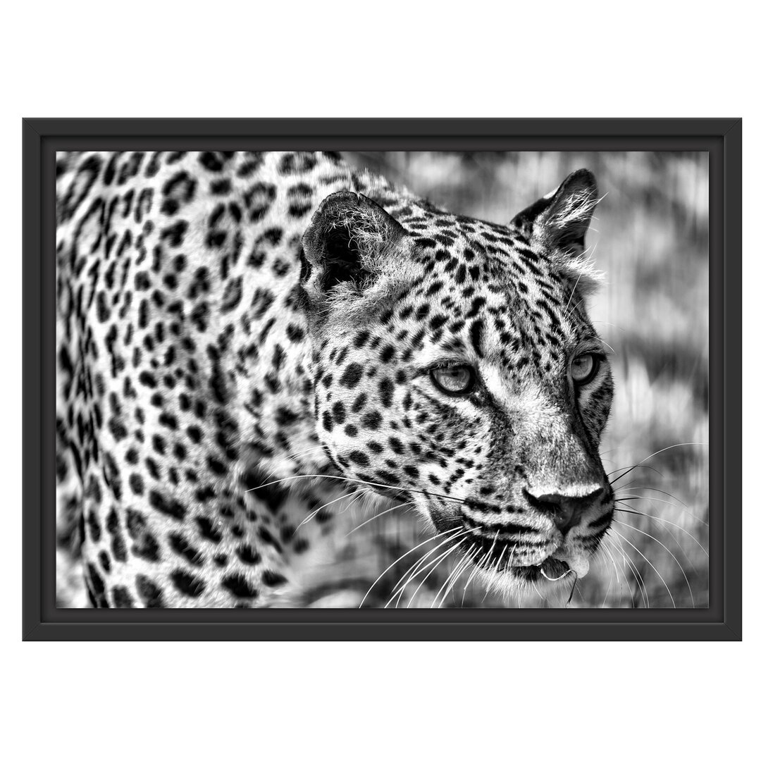 Gerahmtes Wandbild schleichender Leopard