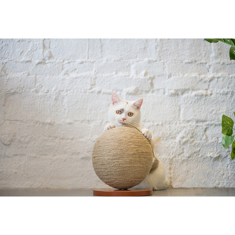 Grattoir Rockdale Cactus Ball, Beige, H 12 po x l 11 po x P 11 po