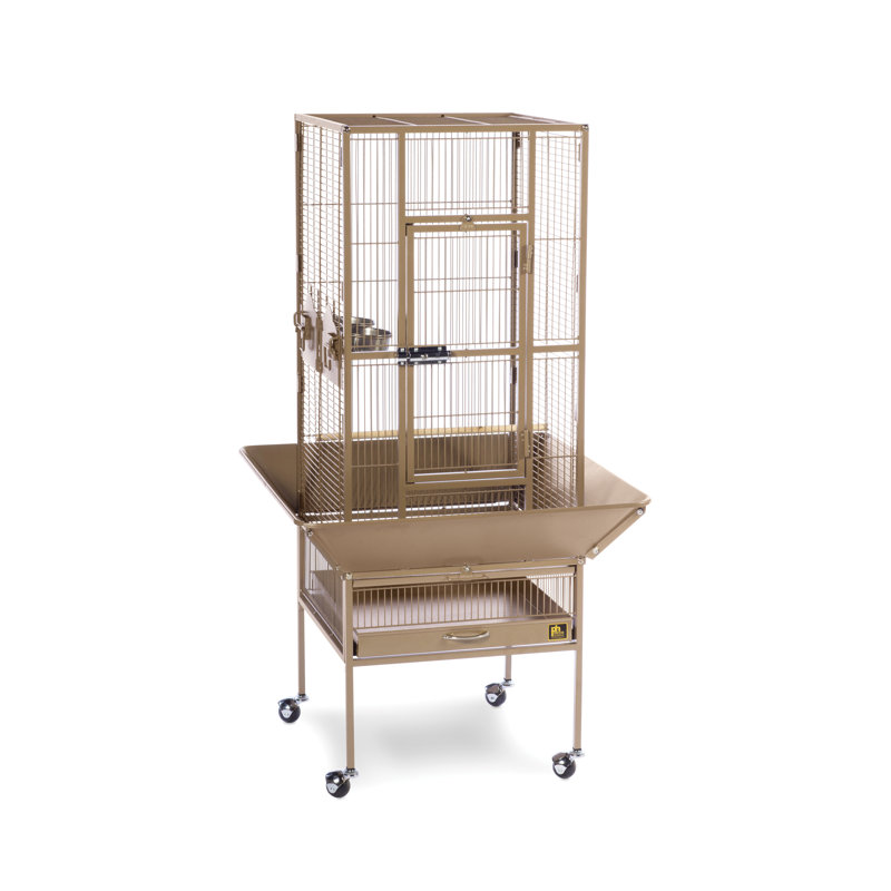 Cage à oiseaux en acier à toit plat avec roulettes Hester, H 49 po x l 18 po x P 18 po, Brun cacao