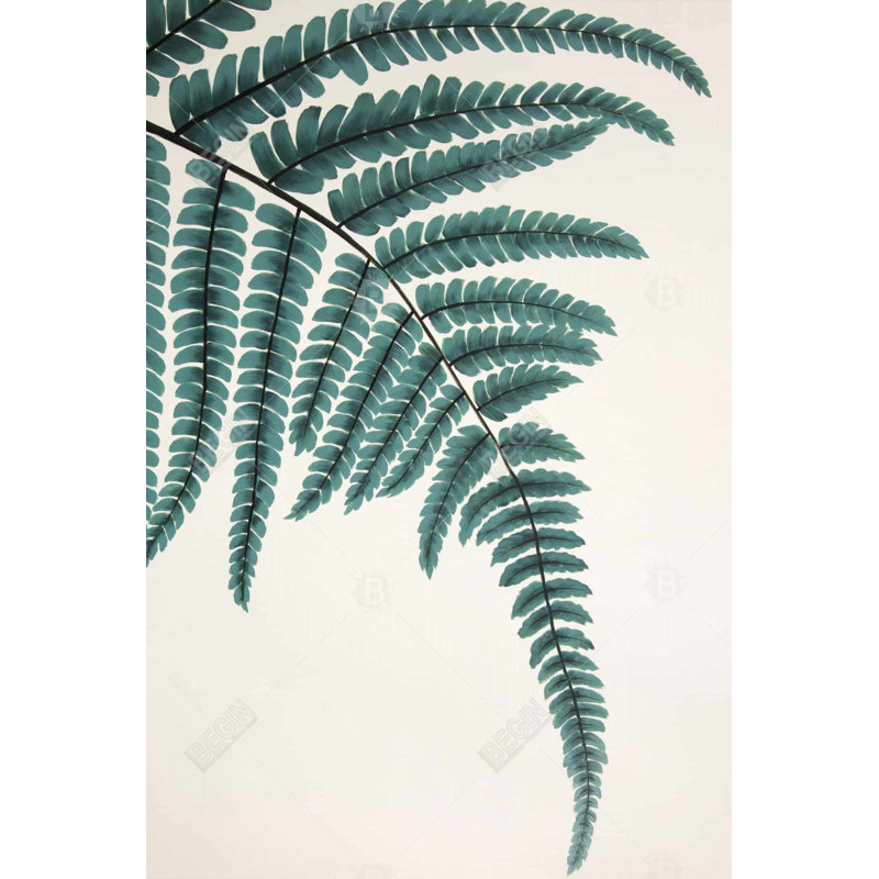 Fougère - Toile verte botanique pour la décoration intérieure | Inspiré de la nature, H 8 po x l 8 po