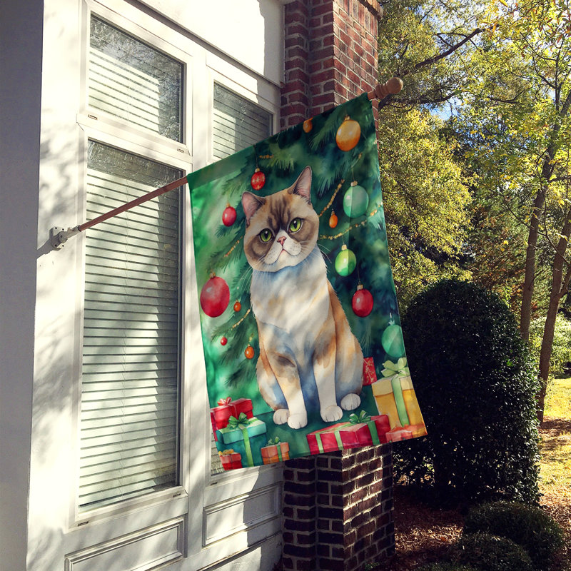 Chat avec le drapeau de la cabane dans l'arbre de Noël, Poil court exotique