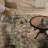 Baylen Abstract Gray/Beige Area Rug-22960063