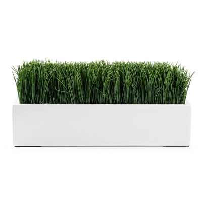 Grass White 16" Rectangle Arrangement