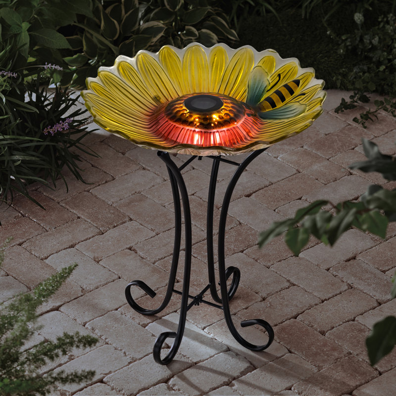 Bain solaire d'oiseaux à fleurs