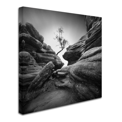 « difficulté », reproduction de photo sur toile tendue