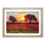 Poppy Meadow - Picture Frame Painting Print-55601713-55601715
