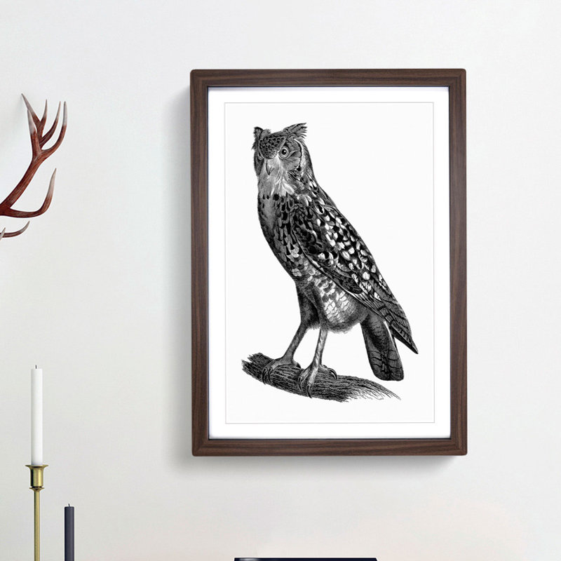 Egyptian Owl Illustration - Picture Frame Drawing Print, Walnut Framed, 36cm H x 27cm W x 2cm D