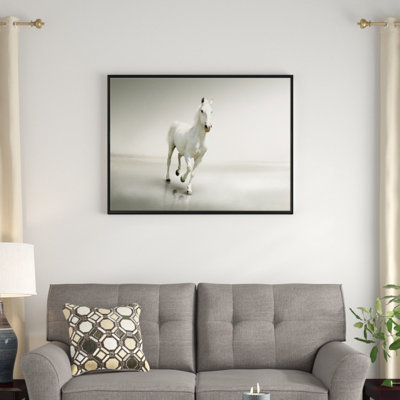 " Beautiful White Horse Running "
