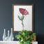 Watercolor Floral Contour II - peinture sur toile encadrée-560106186-560106187