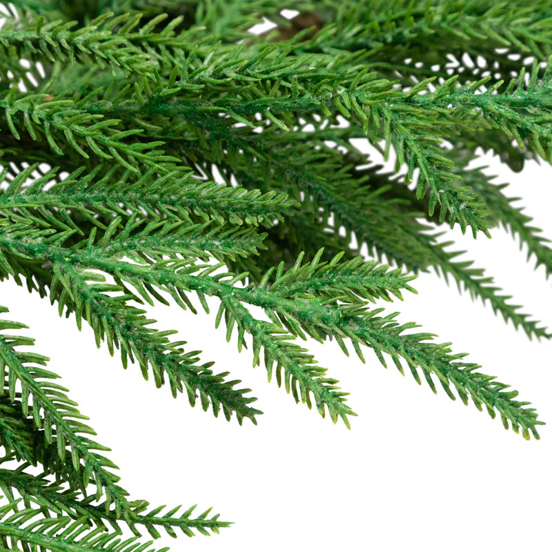 Guirlande de Noël artificielle en pin Norfolk, 5 pi, non éclairée