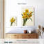 Jonquilles Harnek-108472325